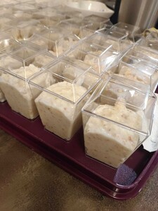 photo 2025 06 12 10 24 27